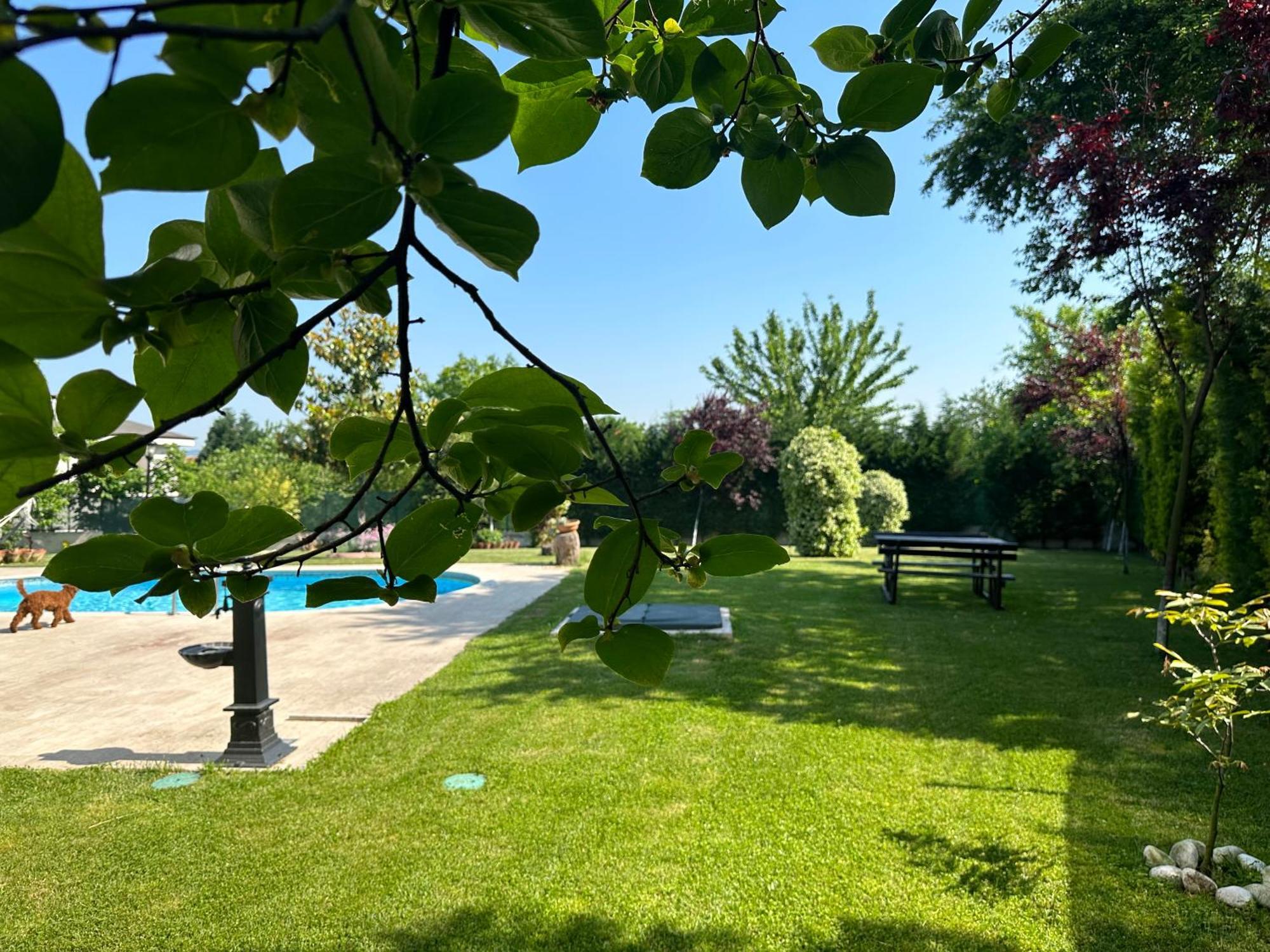 Guzel Evler Family Resort Sapanca Εξωτερικό φωτογραφία