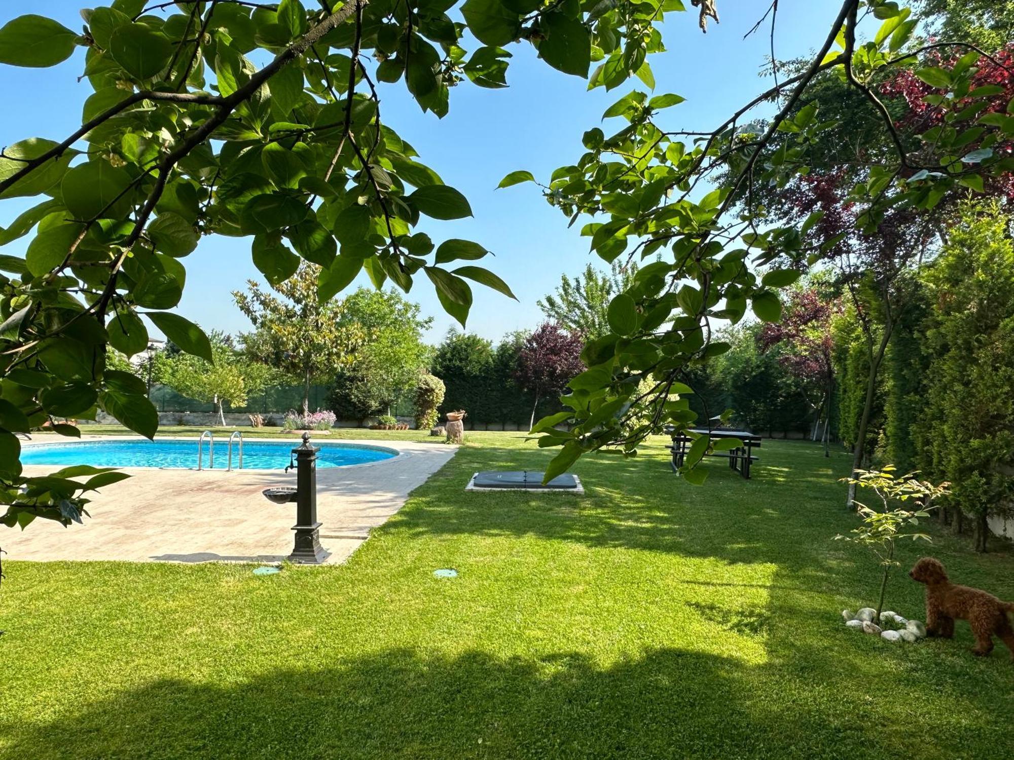 Guzel Evler Family Resort Sapanca Εξωτερικό φωτογραφία